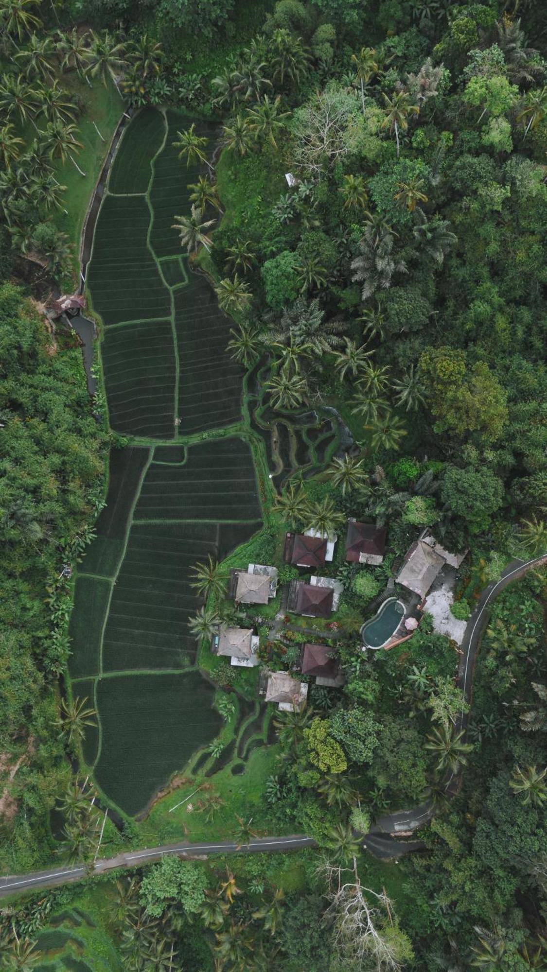 Tirta Sari Villa Tampaksiring Bagian luar foto